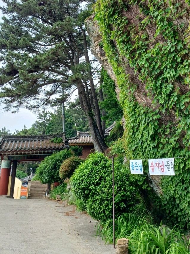 가족 나들이로 마음도 정리되는 시간👨‍👩‍👧‍👦