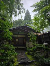 เที่ยวในเกียวโต จุดกำเนิดชาและมังงะของญี่ปุ่น