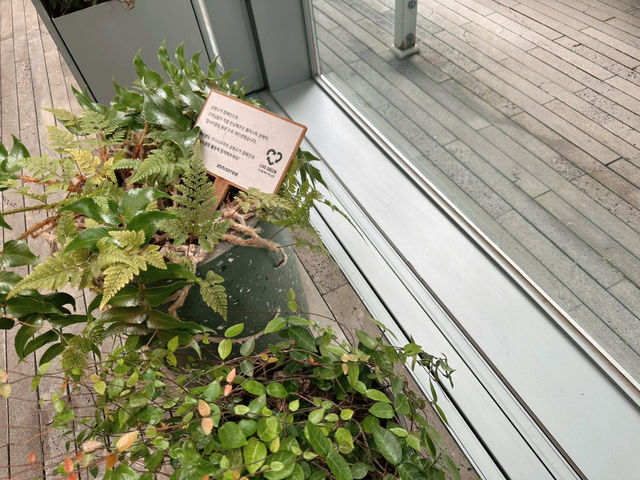 개방감 좋은 💚 초록 카페