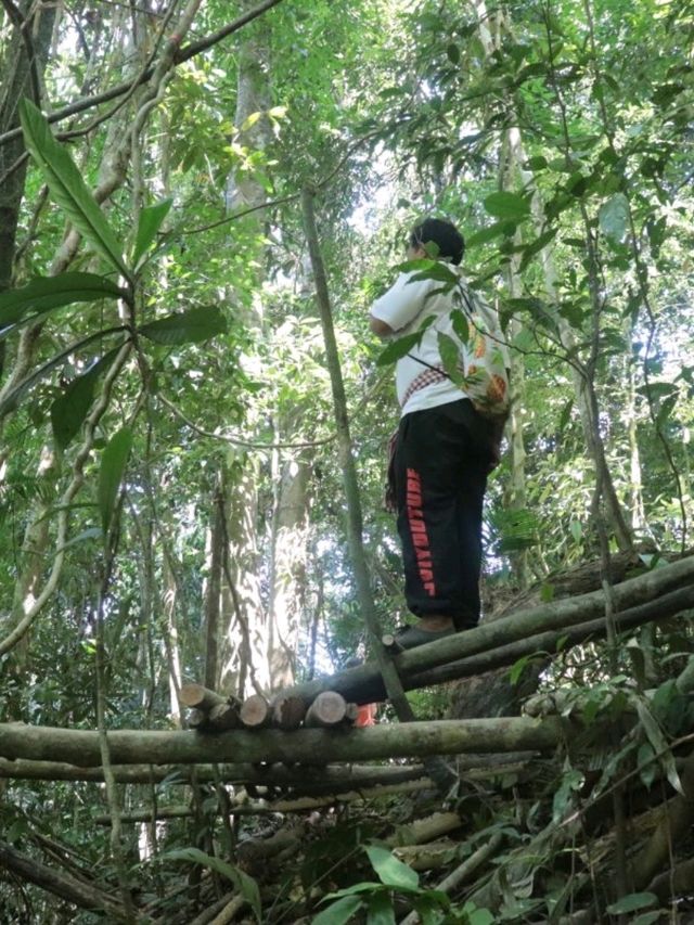 อุทยานแห่งชาติคลองพนม จ. สุราษฎร์ธานี 
