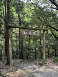 【伝説と紅葉が彩る癒しの滝🌿白藤の滝で静寂と出会う旅】