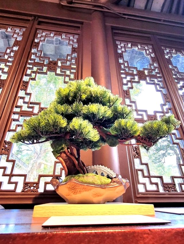 Time-honored Bonsai collection at the Bonsai Garden