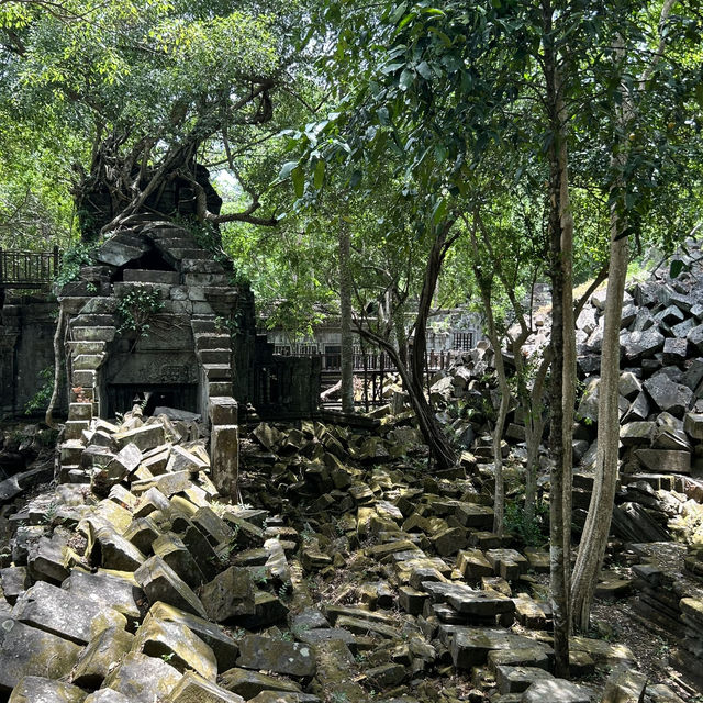 【ラピュタの世界🪐】ベンメリア遺跡で出会った崩れゆく美しさ🌿 