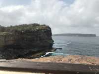 🌅 Watsons Bay – Laid-back Coastal Charm with Harbour Views