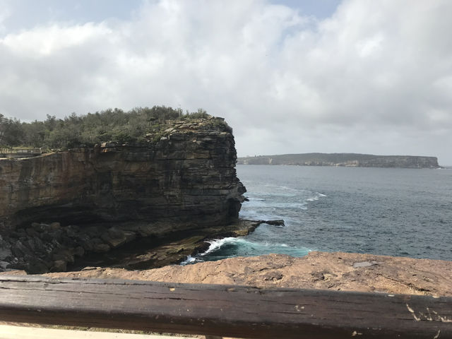 🌅 Watsons Bay – Laid-back Coastal Charm with Harbour Views