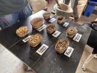 【Ocaso Coffee House｜Finca El Ocasoのコーヒーツアー】