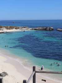 🌟【ロットネスト島（Rottnest Island）】ワールド最高の笑顔と大自然が待つ島 