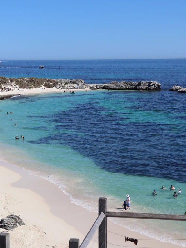 🌟【ロットネスト島（Rottnest Island）】ワールド最高の笑顔と大自然が待つ島 