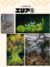 🇨🇳アジア最大級の植物園へ