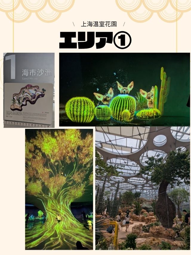 🇨🇳アジア最大級の植物園へ