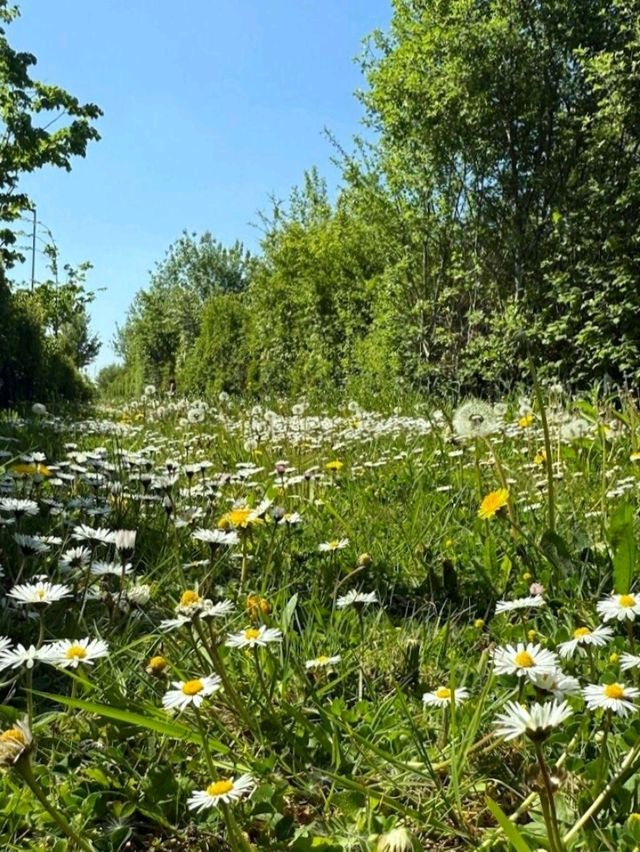 Humberstone Park