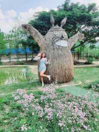 ชิราคาวาโกะ คาเฟ่ สวนผึ้ง