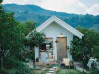 สวนส้มจินจู JINJU the orange farm 