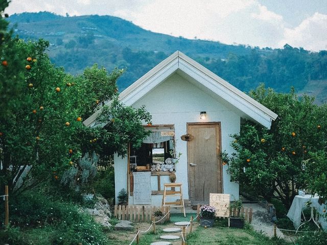 สวนส้มจินจู JINJU the orange farm 