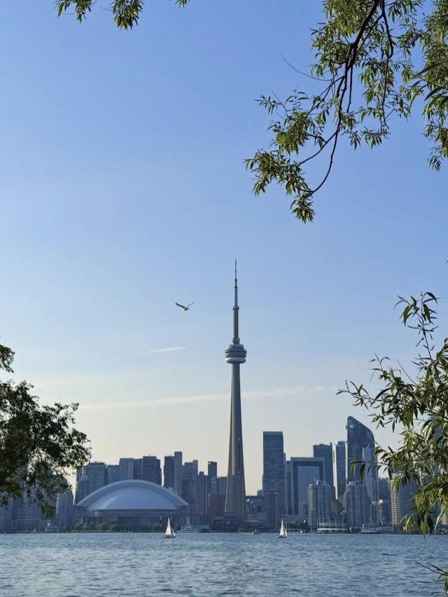 🗼【トロントの空を歩く！CNタワーでスリル満点の絶景体験】