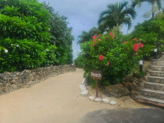 호시노 리조트 리조나레 코하마지마 스위트룸 호시노 리조트 리조나레 코하마지마 스위트룸