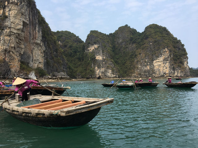 🚢🌿 Sailing Through a Dream: My Halong Bay Cruise Experience