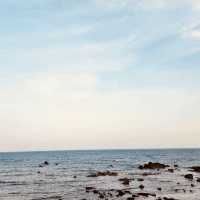 A Photographer's Dream and Sunbather's Delight