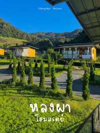 หลงผา โฮมสเตย์ เชียงใหม่ 🏡🍃