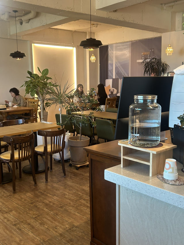 🍳 오송의 햇살 가득한 브런치, 아일 (AIL) 브런치카페