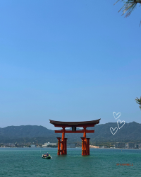 [Japan 🇯🇵] Miyajima Island: Where Deer Roam and Torii Gates Float!