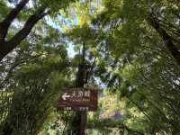 Summer Scenic Tian You Mountain In A Sedan Chair! 