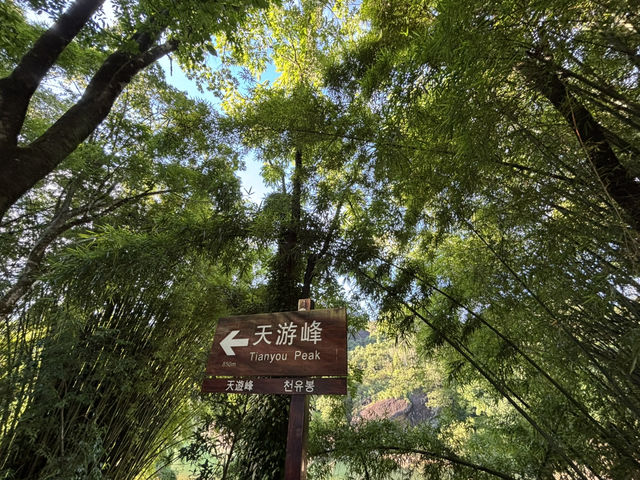 Summer Scenic Tian You Mountain In A Sedan Chair! 