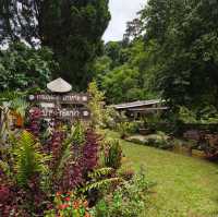 🌿 ปางไฮคอฟฟี่ช็อป (PangHai Coffee Shop) 🌿