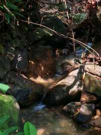 ⛰️ Bukit Kledang, Perak – Choose Your Trail, Choose Your Challenge!