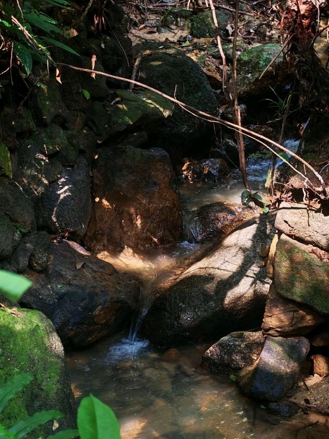 ⛰️ Bukit Kledang, Perak – Choose Your Trail, Choose Your Challenge!