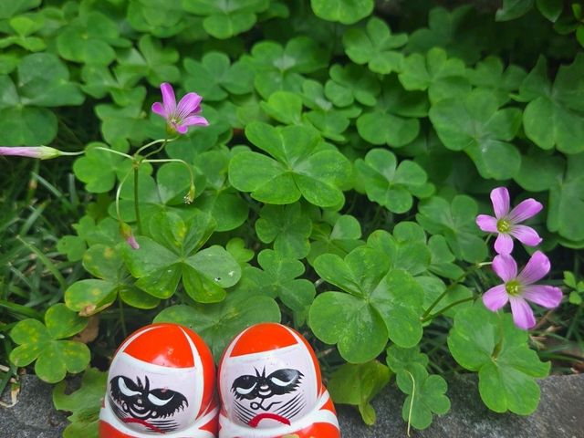Katsuo-ji  temple at Osaka - Red daruma Doll