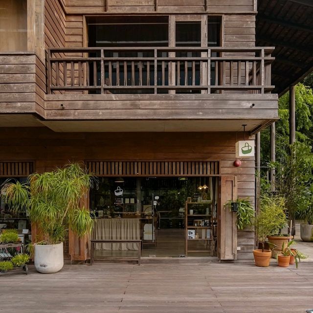 Little Tree Grocery 🥤🥯🍃