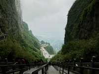 張家界遊天門山篇🏞️