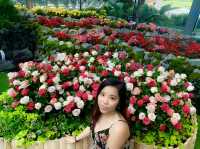 Discover the Magic of Singapore’s Floral Fantasy at Gardens by the Bay 