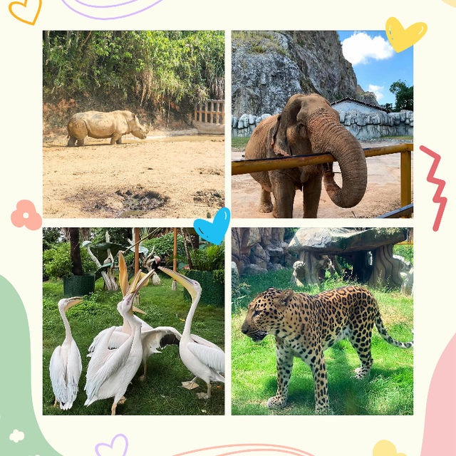 ～南平九峰動物園是～可愛動物園～