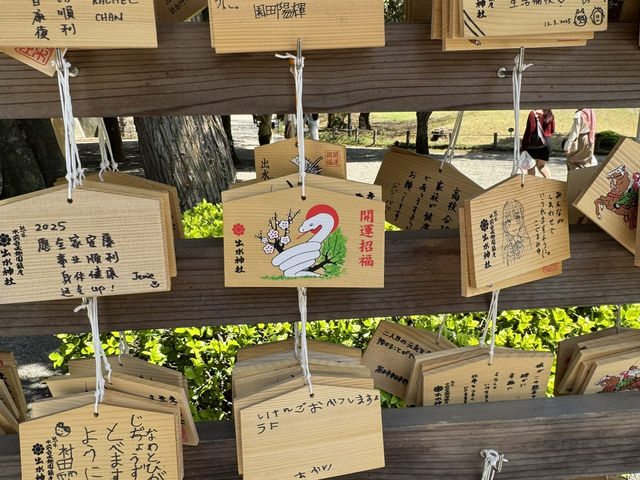 구마모토 여행 일정 🇯🇵