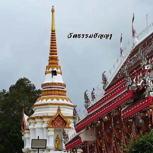 🌺วัดธรรมปัญญา