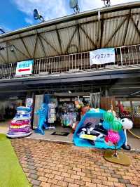 東京Summerland