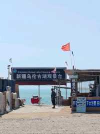 乌伦古湖：荒漠中的水鸟天堂，塞外第一镜泊