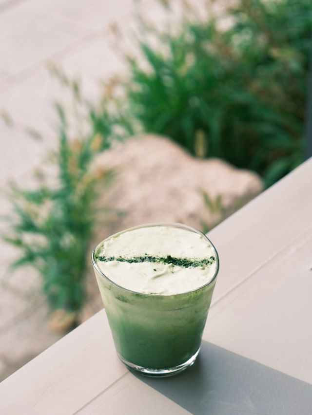 🍵코페드팔레츠 / ☕️동대문역사문화공원 카페🍵