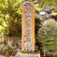 🌿 Solo Escape: Nakai-machi – Kanagawa’s Hidden Mountain Gem