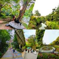 Art, Nature & City Vibes - Perfect for Explorers
