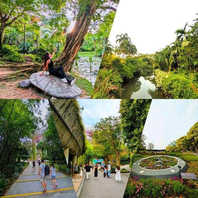 Art, Nature & City Vibes - Perfect for Explorers