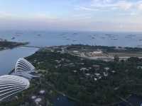新加坡-金沙酒店SkyPark 觀景台（57樓）