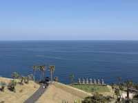 【宮崎】モアイ像と海の絶景🌊サンメッセ日南で南国気分の旅！
