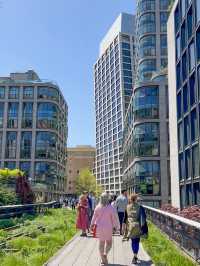 Elevated Escapes: Discovering the Art and Nature of NYC's High Line!