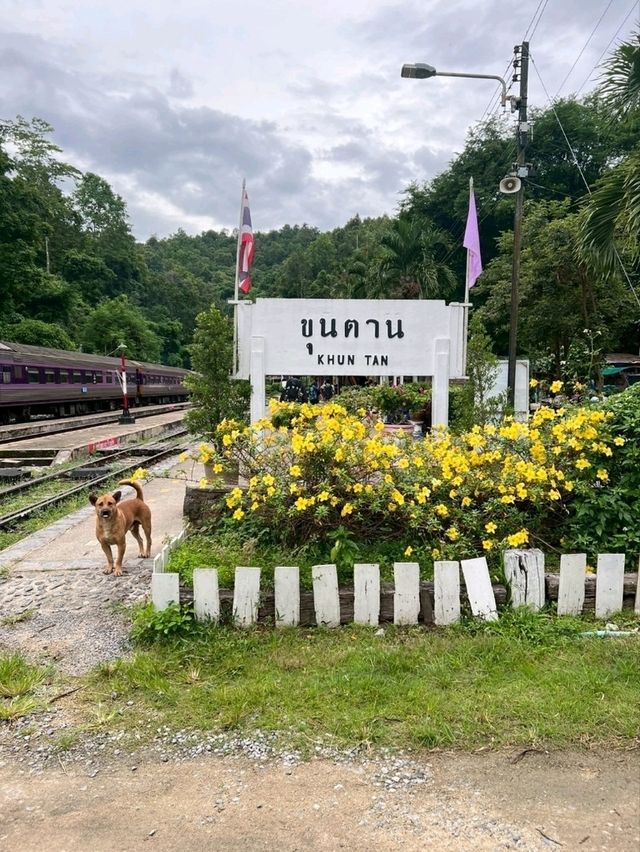 อุโมงค์ขุนตาน อุโมงค์ที่ยาวที่สุดในไทย(ในอดีต)