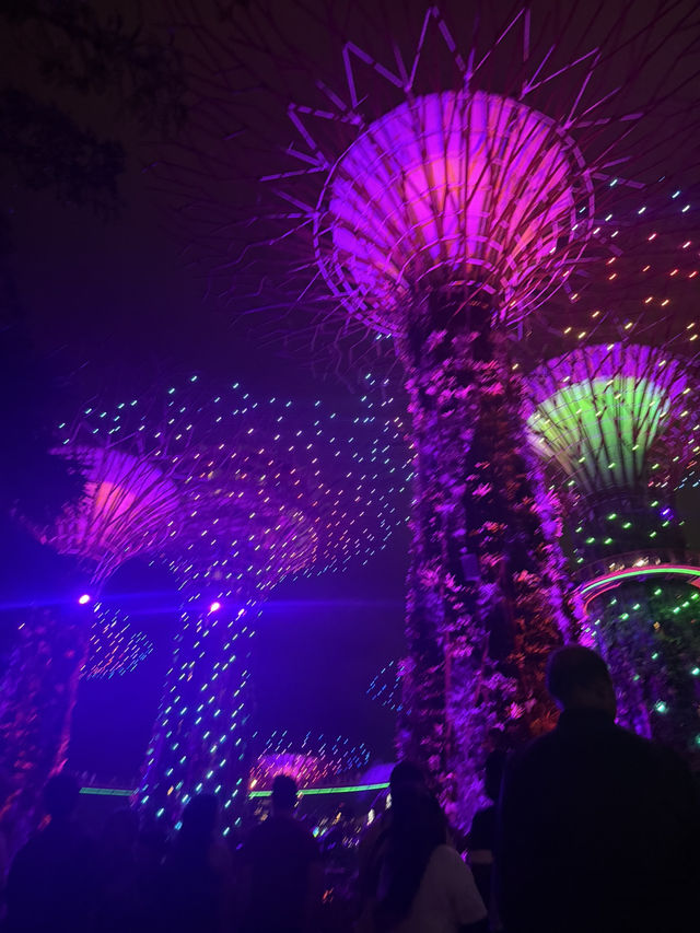 An Unforgettable Night at Supertree Grove 