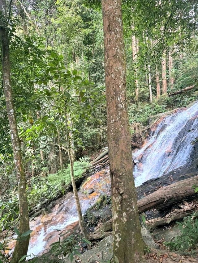 Nature’s Layers at Kanching Waterfalls