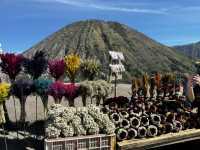 Bromo Kawah ijen Madakaripura Tumpaksewu Trip 